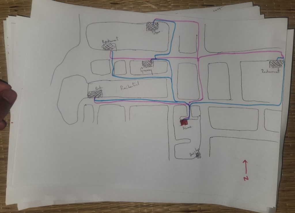 Participant map showing two coloured route traces from home to shared destinations such as park and shops.